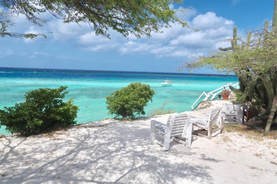 Beachfront Bella Horizonte 7 Savaneta エクステリア 写真