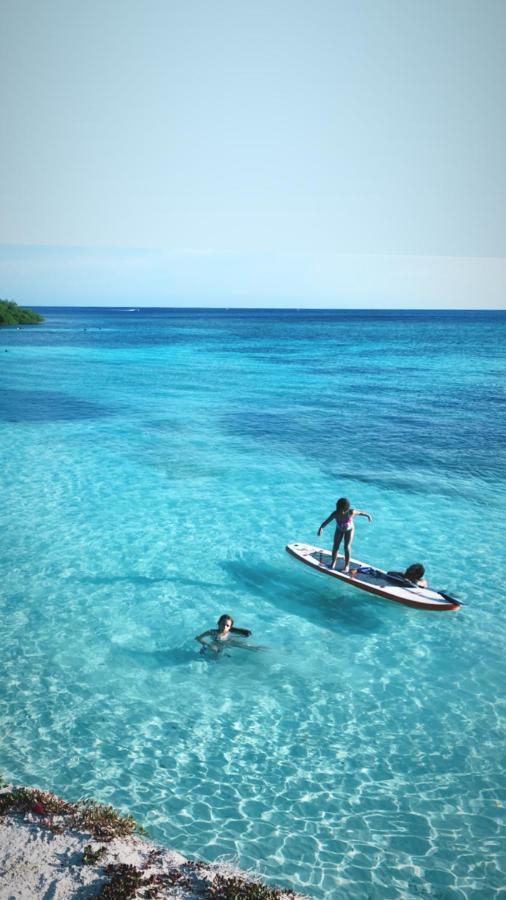 Beachfront Bella Horizonte 7 Savaneta エクステリア 写真